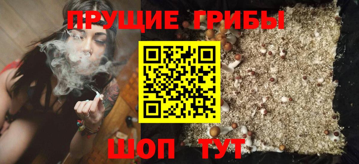 Псилоцибиновые грибы ЛСД  Вход с VPN  Каменск-Шахтинский 